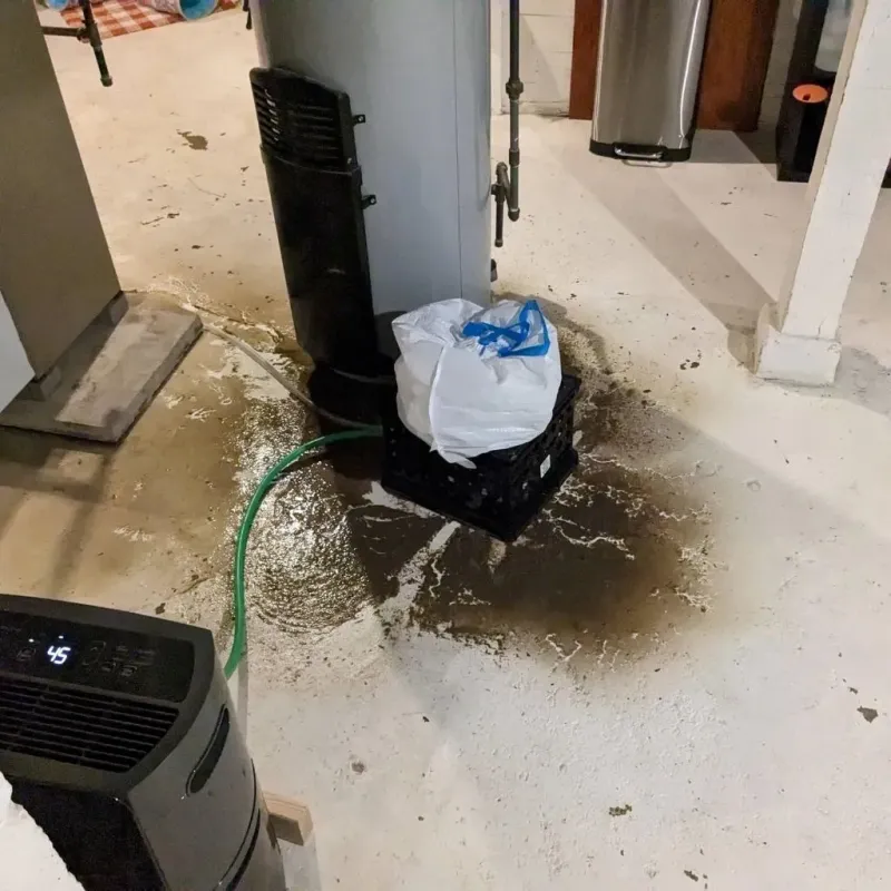 Sewage Backup Cleanup Service in Carbonville, UT